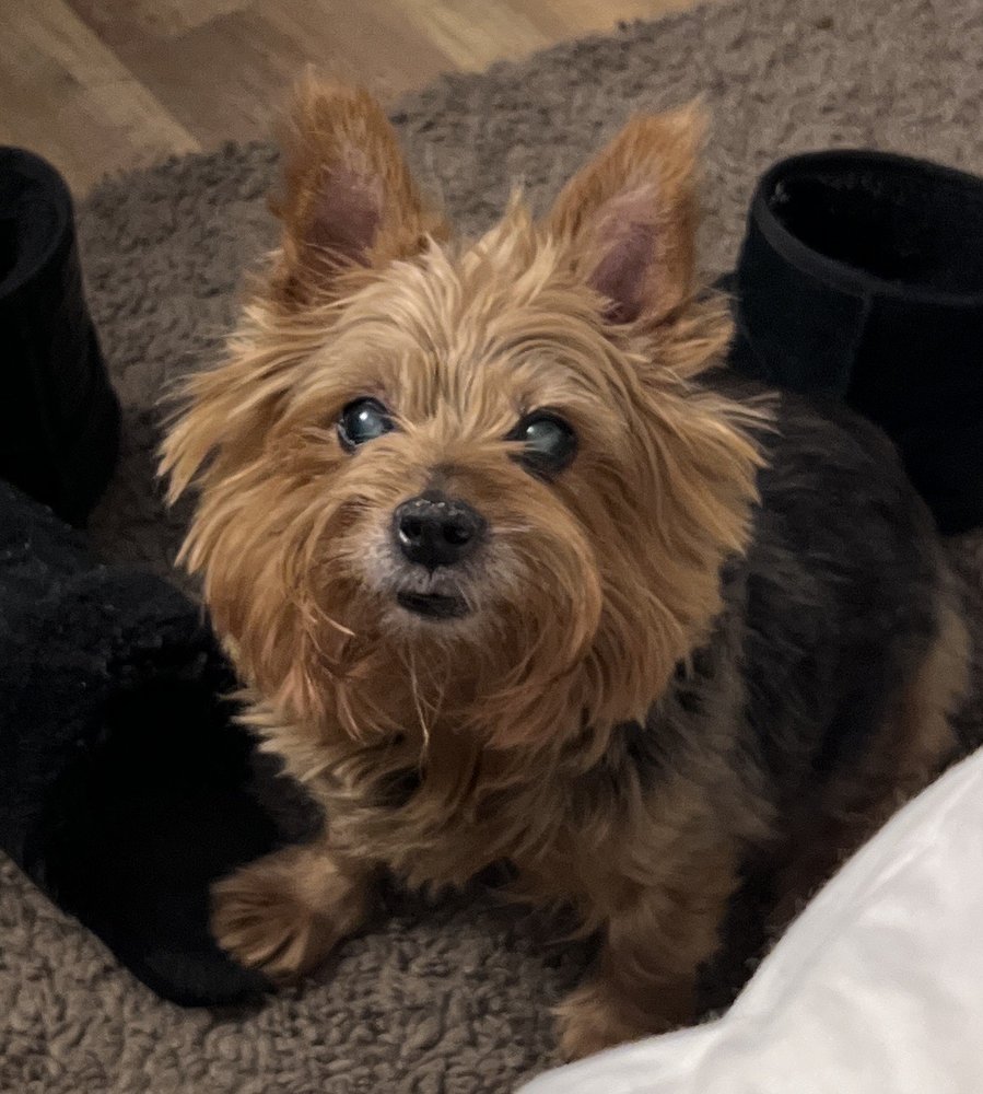 RODMAN REALTY Updated August 2024 10 Reviews 1339 Washington Way