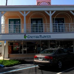 Cactus Flower - Store Front