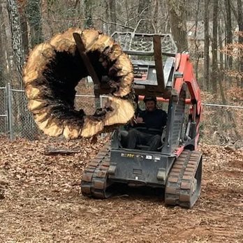 Perkins Tree Service - Tree Services Near Me - Loganville, Georgia