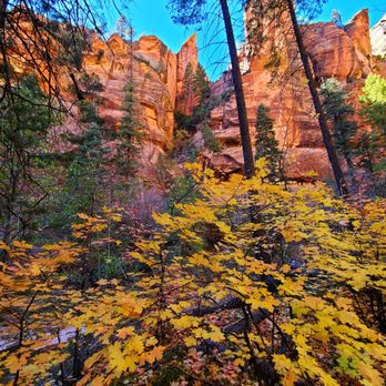 West Fork Trail - More fall colors with those stunning rocks in the background - Hiking Near Me - Sedona, Arizona