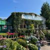 Hampton Nursery gift card