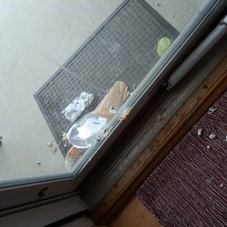 Chipotle Mexican Grill - Wet bag from leaking burrito bowl makes a mess.