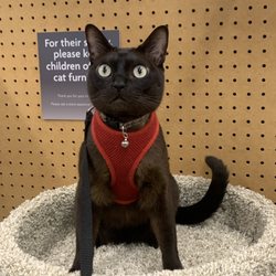 Petland Jacksonville - This is Petco! They love all animals not just dogs.