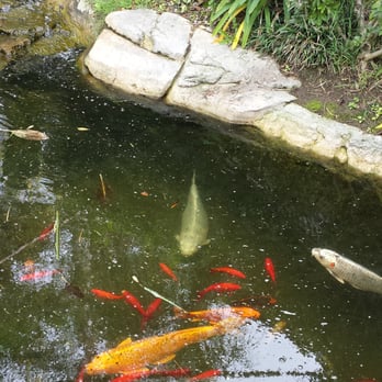 Humphreys Half Moon Inn - Koi pond - San Diego, CA
