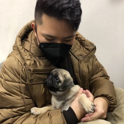 Petland Novi