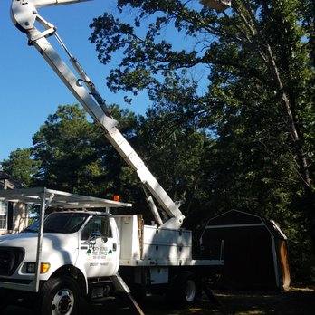 North Georgia Tree Service - Tree Services Near Me - Calhoun, Georgia North Georgia Tree Service - Tree Services Near Me - Calhoun, Georgia