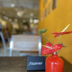 Honobono - Love the decor