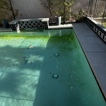 Zillah's Pools - I paid Jesus for the month of April and he never showed up the last two weeks of April and left our pool like this. - Pool Cleaners Near Me Zillah's Pools - I paid Jesus for the month of April and he never showed up the last two weeks of April and left our pool like this. - Pool Cleaners Near Me