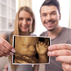 Window to the Womb