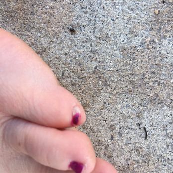 Mai Nails - Nail Salons Near Me - Fleming Island, Florida Mai Nails - Nail Salons Near Me - Fleming Island, Florida