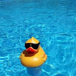 Rio Pools - Best part of summer