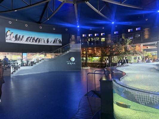 L’Aquàrium de Barcelona by null