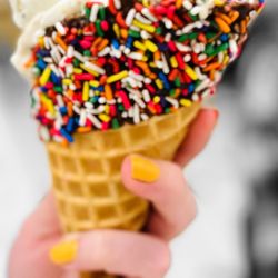 Oberweis Ice Cream and Dairy Store - S'mores ice cream