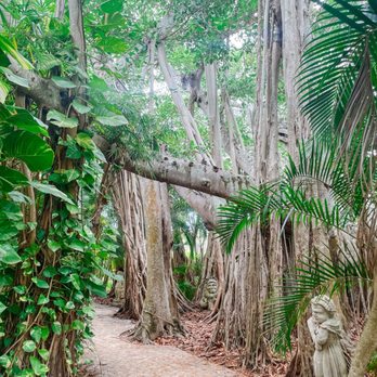 The Ringling - Dwarf walkway - Art Museums Near Me - Sarasota, Florida The Ringling - Dwarf walkway - Art Museums Near Me - Sarasota, Florida