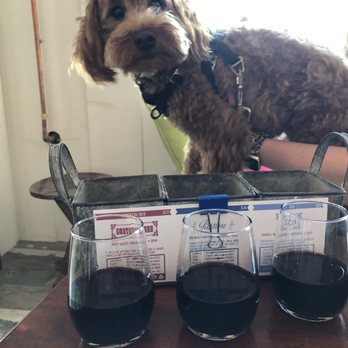 Peace Water Winery - Our dog, Gustav, enjoying the delicious sips!! - Wineries Near Me - Indianapolis, Indiana