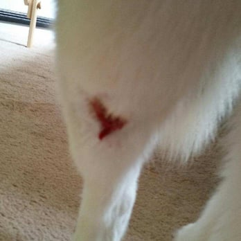 Pets R Us ABQ - Pet Groomers Near Me - Albuquerque, New Mexico Pets R Us ABQ - Pet Groomers Near Me - Albuquerque, New Mexico