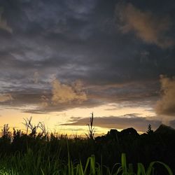 Pali Highway Scenic Lookout - 5:55AM. Good morning! Happy Aloha Friday!