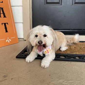 Fur Pal Grooming Spa - Dog haircut - Pet Groomers Near Me - San Ramon, California