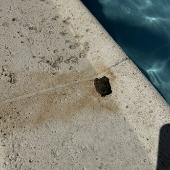 La Jolla Resort - Poo by the pool. - Hotels Near Me - Islamorada, Florida La Jolla Resort - Poo by the pool. - Hotels Near Me - Islamorada, Florida