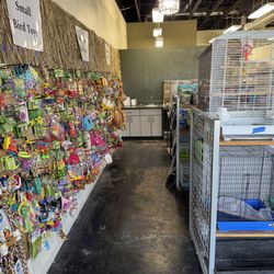 Birdie Bird Pet Store