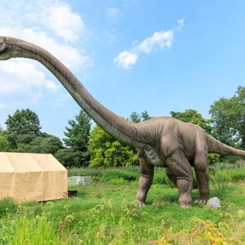 Field Station: Dinosaurs - Amusement Parks Near Me - Leonia, New Jersey Field Station: Dinosaurs - Amusement Parks Near Me - Leonia, New Jersey