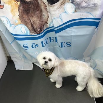Barks & Bubbles - Pet Groomers Near Me Barks & Bubbles - Pet Groomers Near Me