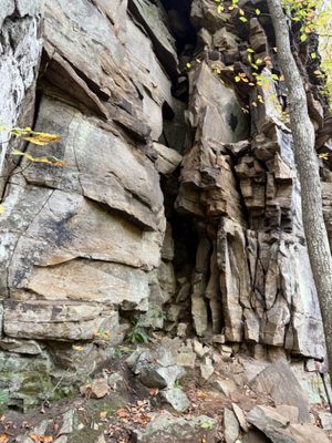 Babcock State Park by null