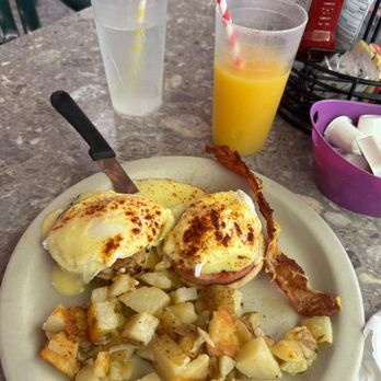The Stuffed Pig - Eggs benedict - Breakfast & Brunch Near Me - Marathon, Florida The Stuffed Pig - Eggs benedict - Breakfast & Brunch Near Me - Marathon, Florida