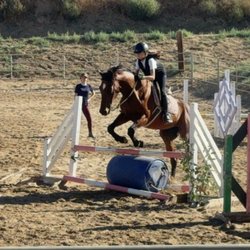 Santa Clarita Valley Equestrian Center
