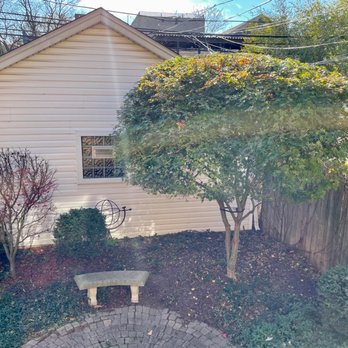 County Tree Service - Japanese maple beautifully trimmed and shaped. - Tree Services Near Me - Stickney, Illinois County Tree Service - Japanese maple beautifully trimmed and shaped. - Tree Services Near Me - Stickney, Illinois