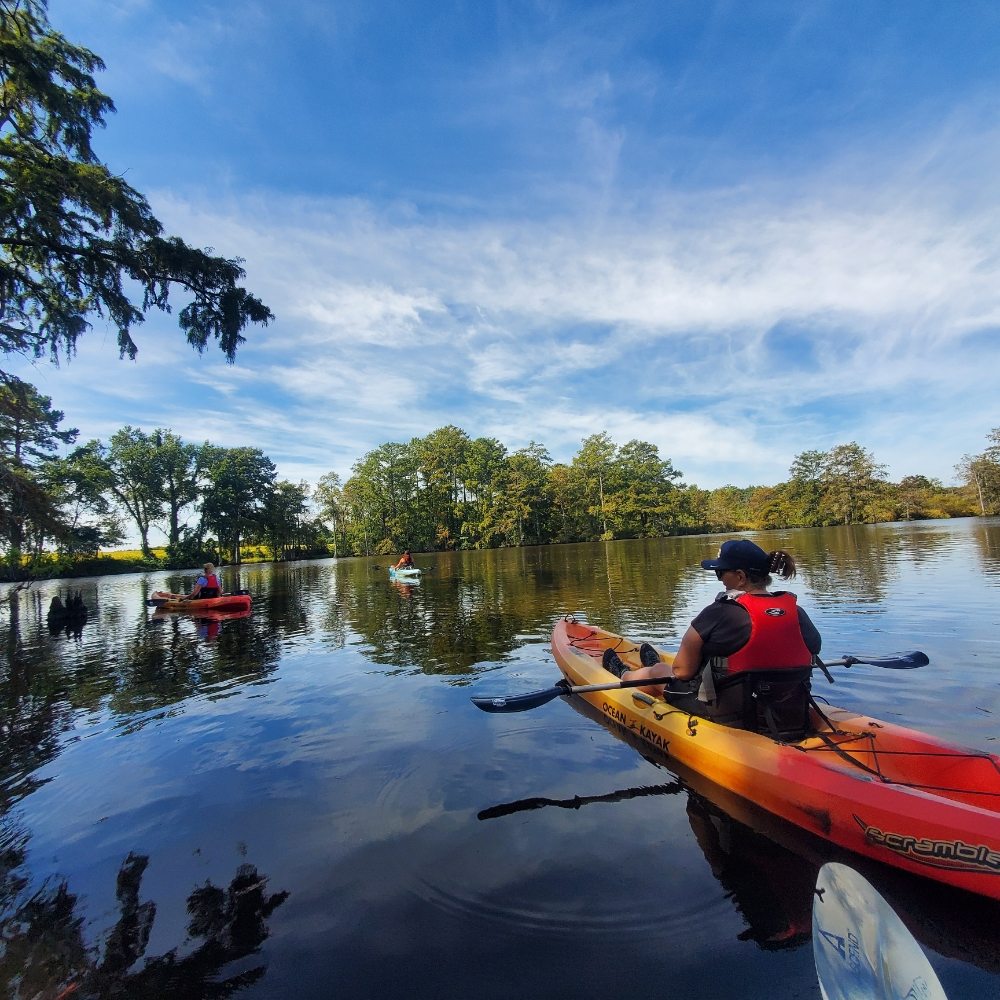 Adventure Kayak & SUP Tours Logo