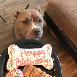 Treats are dog approved! Treats are dog approved!
