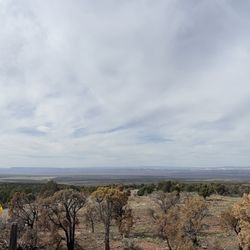 Le Fevre Overlook