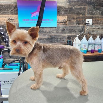 Huckleberry Hound Spa - Pet Groomers Near Me - Clancy, Montana Huckleberry Hound Spa - Pet Groomers Near Me - Clancy, Montana