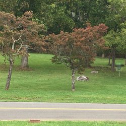 Clayton's Disc Golf Course