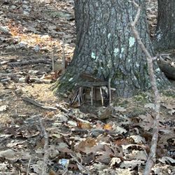 Fairy Garden
