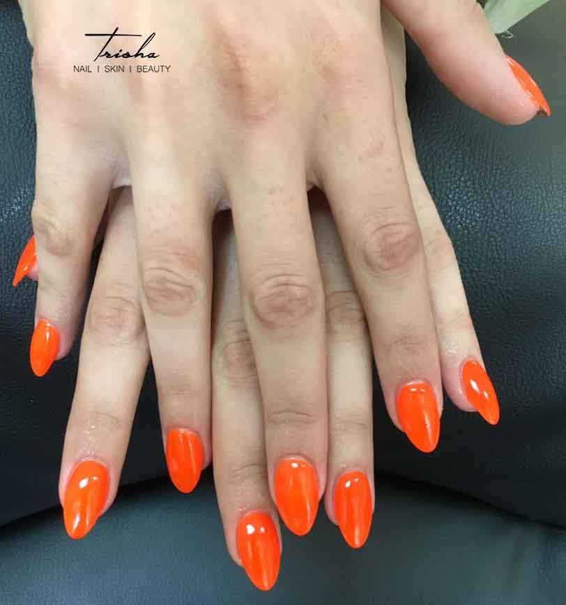 Trisha Nail & Skin Logo