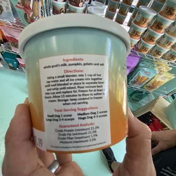 salty paws - Pet Stores Near Me - Dunedin, Florida