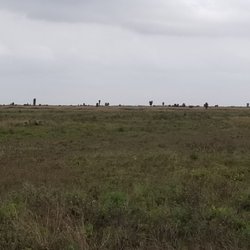 Resaca de la Palma Battlefield