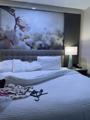 Hotel Indigo Frisco by IHG by null