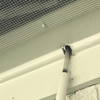 Total Elimination - undefined - Pest Control Near Me - Houston, Texas Total Elimination - undefined - Pest Control Near Me - Houston, Texas