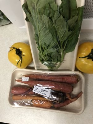 The Veggie Bin by null