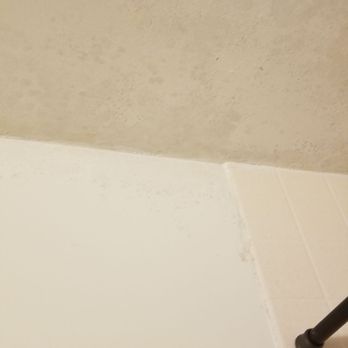 Bill Ramsey - Mold all over our bathroom and they dont care - Property Management Near Me - Aiea, Hawaii Bill Ramsey - Mold all over our bathroom and they dont care - Property Management Near Me - Aiea, Hawaii