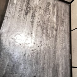 CityView on Meridian - Dog waste in elevator