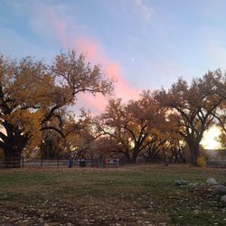 Westland Dog Park