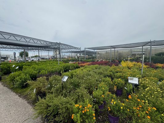 Minor's Garden Center, 7777 N 76th St, Milwaukee, WI 53223, US