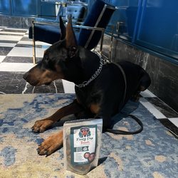 Fancy Pup Treats - Beef Bites