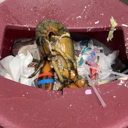 the inside of a red trash can the inside of a red trash can
