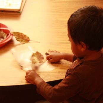 ACR Academy - Preschools Near Me - Santa Cruz, California ACR Academy - Preschools Near Me - Santa Cruz, California