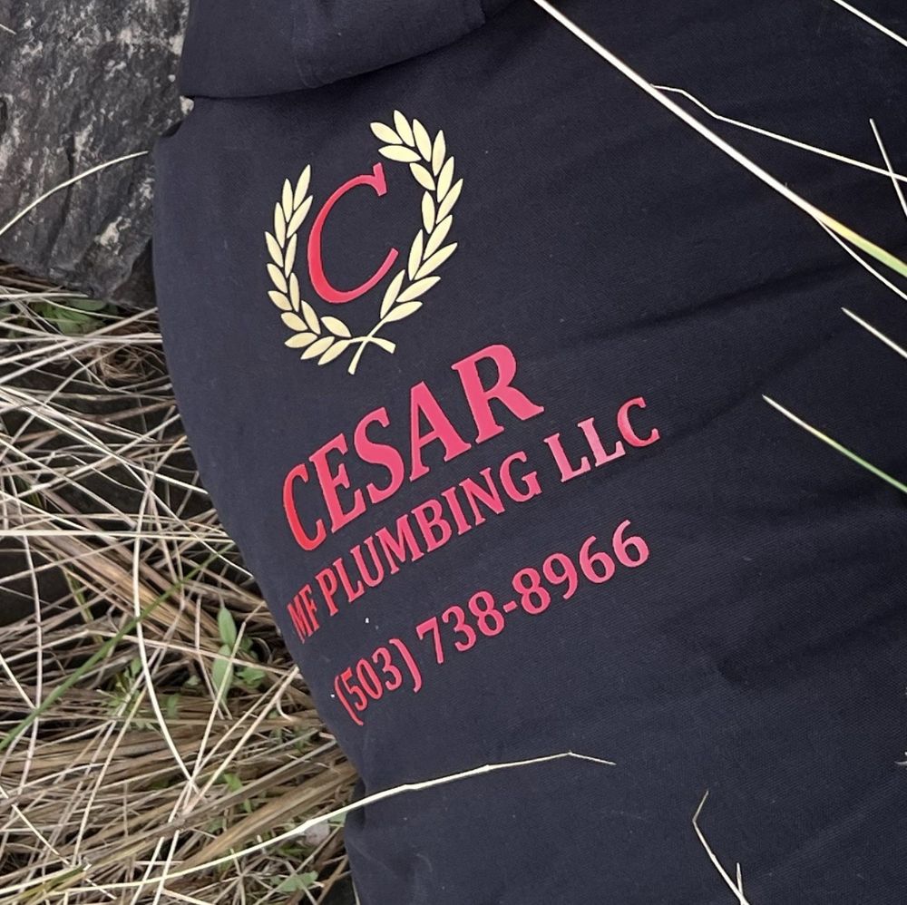Slide of Cesar MF Plumbing
